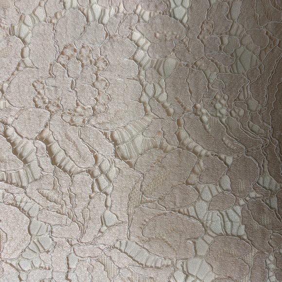 ASOS Pink Lace Dress with Sheer peekaboo waist, size 12 - Picture 5 of 10